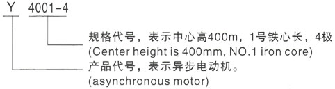 西安泰富西玛Y系列(H355-1000)高压YKS5601-10三相异步电机型号说明