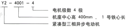 YR系列(H355-1000)高压YKS5601-10三相异步电机西安西玛电机型号说明